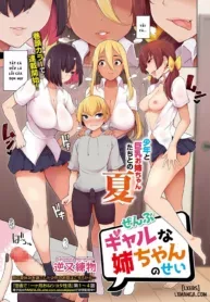 truyen-zenbu-gal-na-nee-chan-no-sei.jpg
